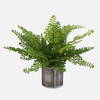 Maidenhair Fern In Oxidized Container, Artificial Plants & Flower by Uttermost, 14" width x 14" height x 14" depth thumbnail 1