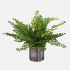 Maidenhair Fern In Oxidized Container, Decorative by Uttermost, 14" width x 14" height x 14" depth thumbnail 1