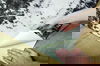 Marbled Appaloosa Black Peel & Stick Wallpaper thumbnail 4