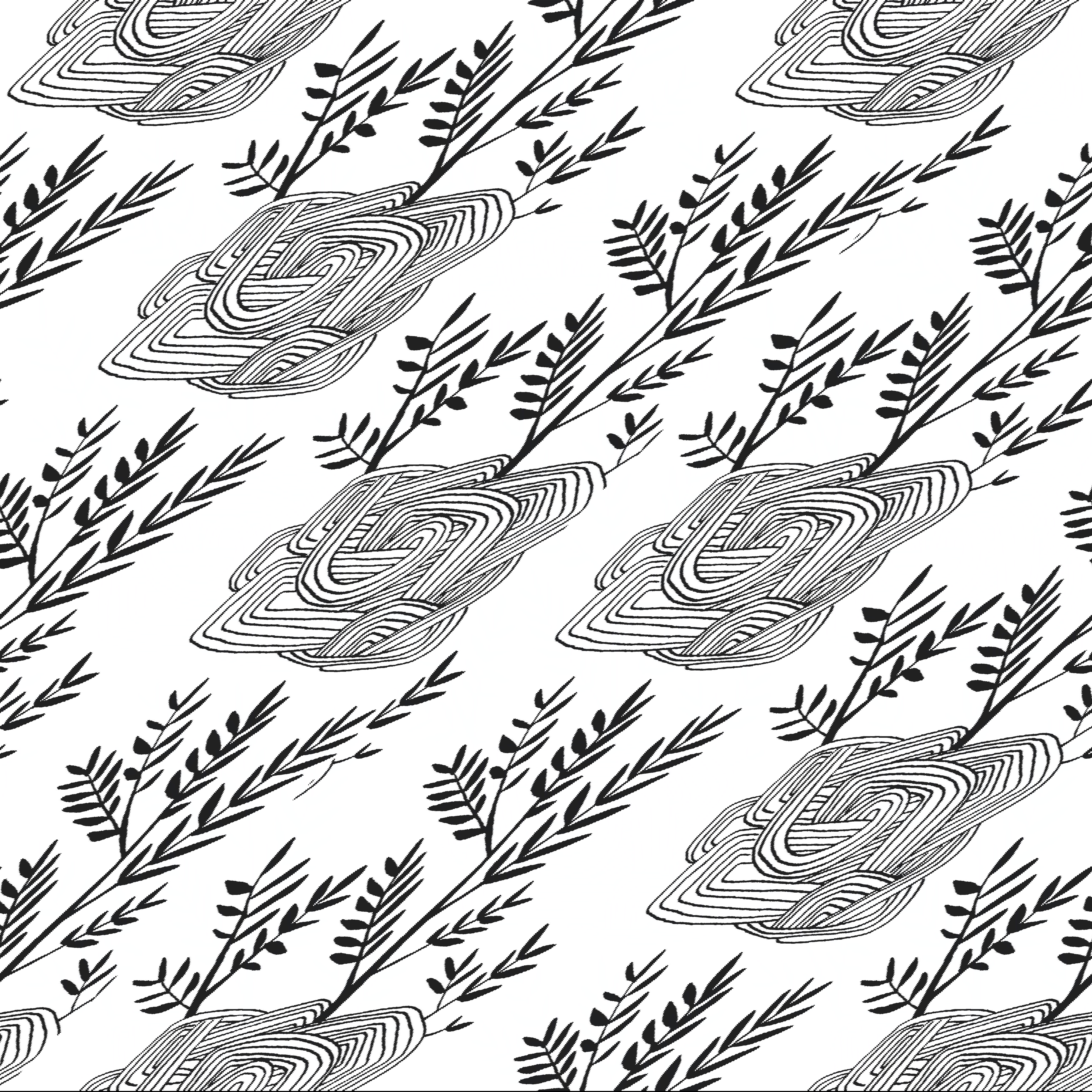 Seedlings Black Peel & Stick Wallpaper large image 
