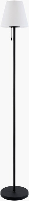 Selune Accent Floor Lamp, by Surya, 10" width x 60" height thumbnail