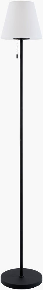 Selune Accent Floor Lamp