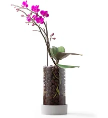 Online Designer Bathroom 4" Clear Glass Orchid Pot With Holes