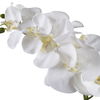 Cami White Orchid thumbnail 3