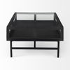 Arelius 42'L Rectangular Glass-Top Black-Brown Wood with Black Metal Base Display Coffee Table thumbnail 2