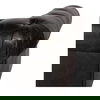 Birmingham Sofa Black Leather thumbnail 9