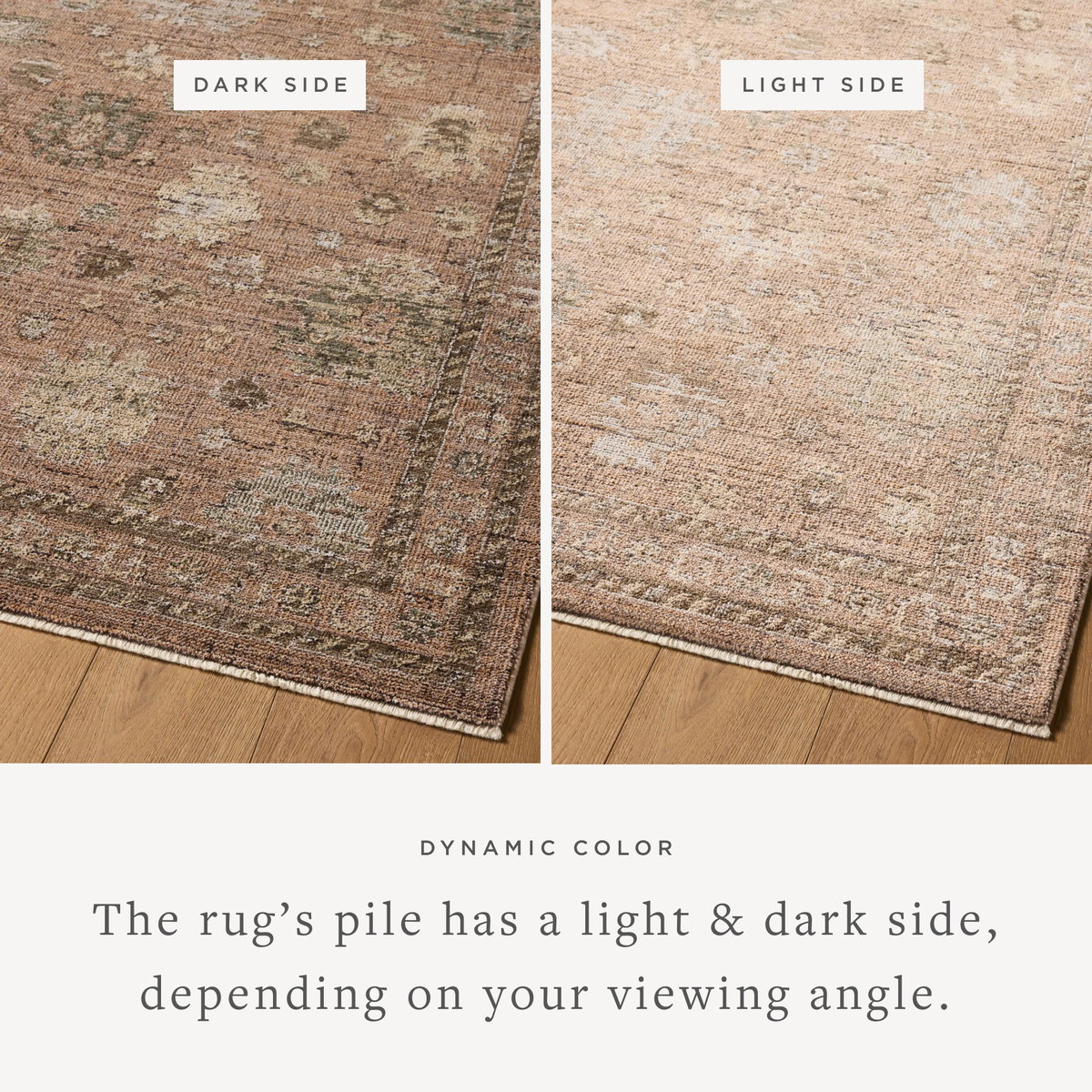 Loloi Priscilla Rug, 2'6" length x 7'6" width View 4
