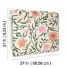 Aster Coral Wallpaper thumbnail 6
