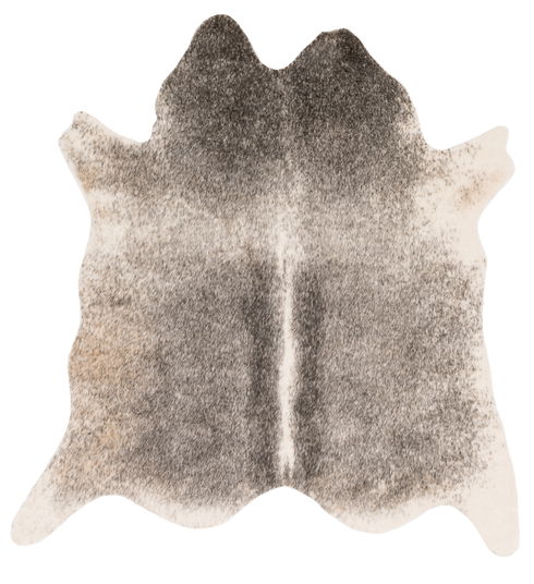 Loloi II Grand Canyon Rug