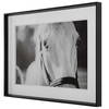Eyes On The Prize Framed Print, Art by Uttermost, 46.25" width x 34.25" height x 2.5" depth thumbnail 5
