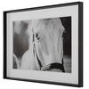 Eyes On The Prize Framed Print, Painting by Uttermost, 46.25" width x 34.25" height x 2.5" depth thumbnail 5