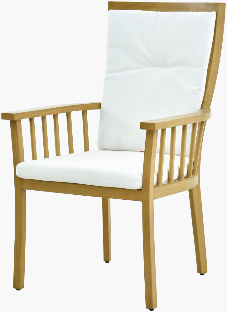 Cape Town Dining Chair, by Surya, 26" width x 40" height