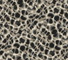 Leopard Rosettes Black Wallpaper, by York Wall, 27' length x 2'3" width x 0.02" depth thumbnail 1