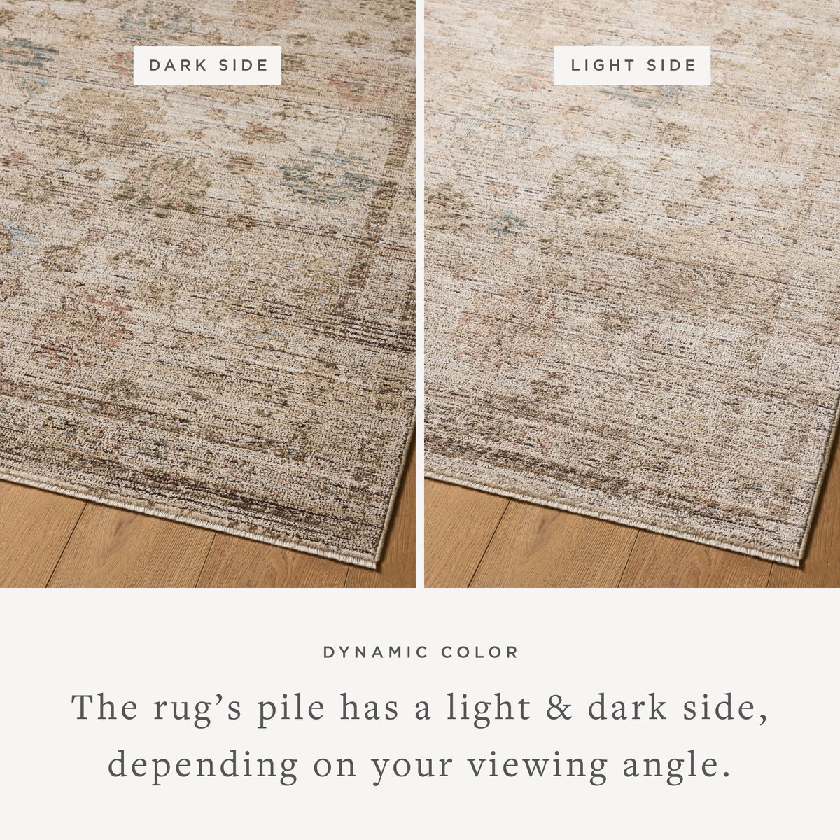Loloi Priscilla Rug, 5' length x 7'6" width View 4