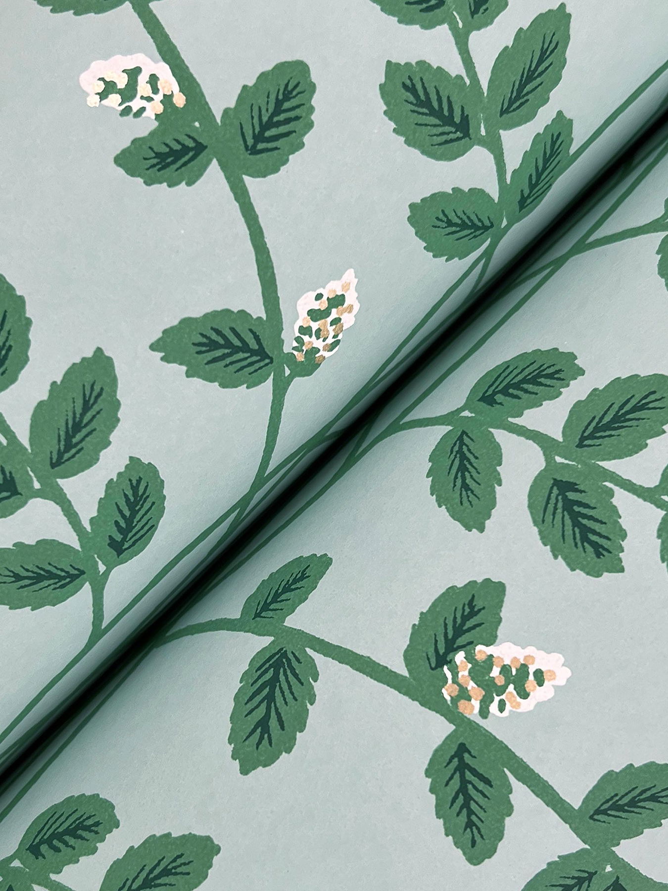 Climbing Vine Soft Teal Wallpaper Climbing Vine Soft Teal Wallpaper large image