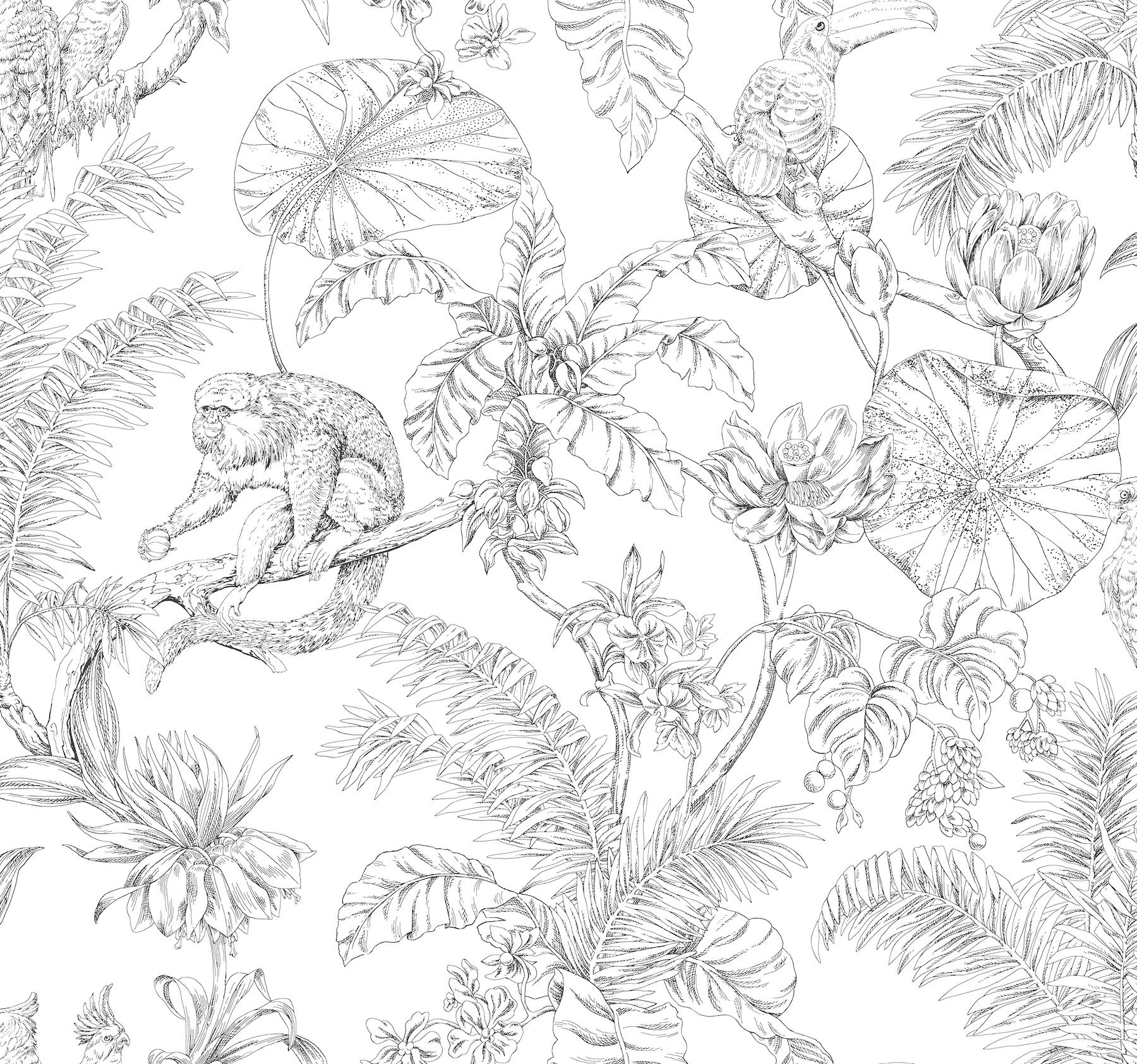 Tropical Sketch Toile Black Wallpaper, by York Wall, 27' length x 2'3" width x 0.02" depth View 1