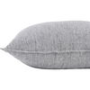 Falcon Indoor Pillow thumbnail 4