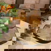 Remiel Tray Clear Large thumbnail 2
