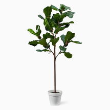 Online Designer Bedroom Open Box: Faux Potted Fiddle Leaf Fig Tree, 5'