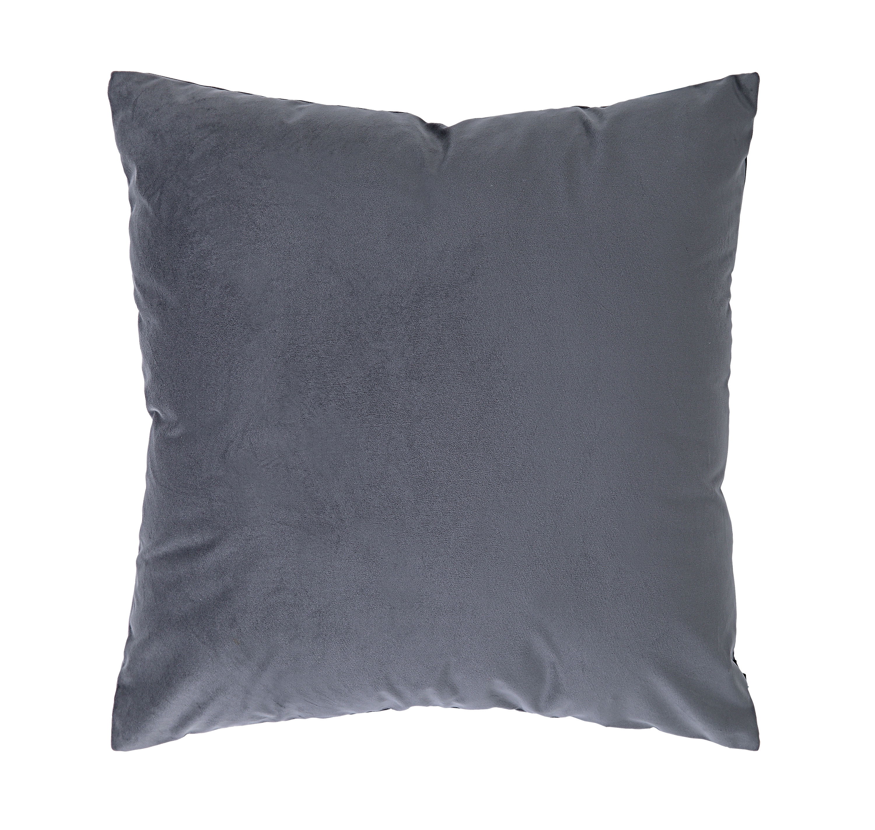 Anemone Indoor Pillow large image 