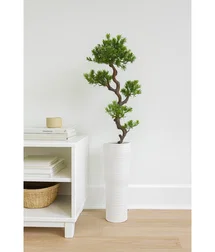 Online Designer Other 59" Artificial Bonsai Tree in a Pot