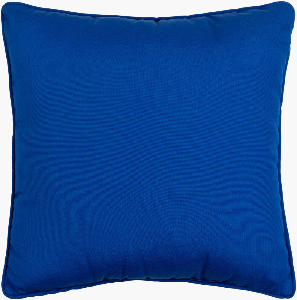 Essien Accent Pillow, Decorative Pillow by Surya, 16" length x 16" width