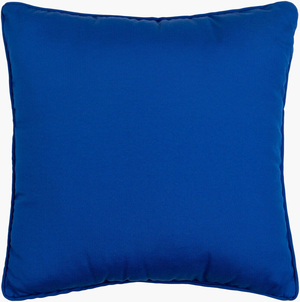 Essien Accent Pillow, Decorative Pillow by Surya, 20" length x 20" width