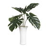 Muse Monstera White Vase Centerpiece, Decorative by Uttermost, 36" width x 36" height x 36" depth thumbnail 1