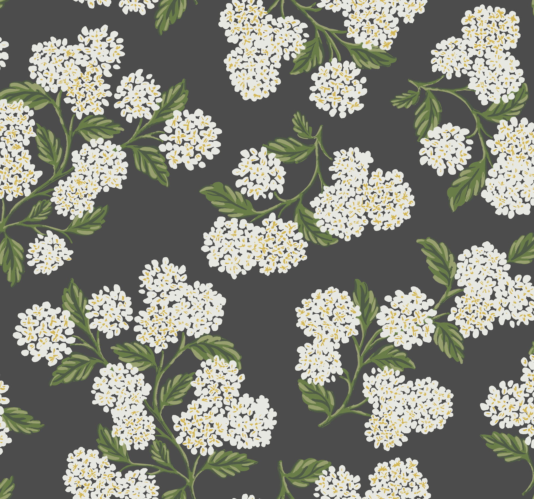 Hydrangea Black & White Wallpaper large image 