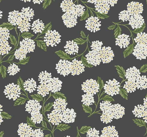 Hydrangea Black & White Wallpaper
