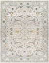 Dresden Machine Woven Rug, by Surya, 9'6.17" length x 6'6.74" width thumbnail