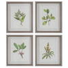 Wildflower Study Framed Prints Set/4, Art by Uttermost, 19" width x 22" height x 1.75" depth thumbnail 1