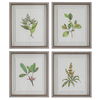 Wildflower Study Framed Prints Set/4, Painting by Uttermost, 19" width x 22" height x 1.75" depth thumbnail 1