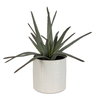 Taos Aloe Centerpiece, by Uttermost, 1'5" width x 1'5.5" height x 1'5.5" depth thumbnail 1