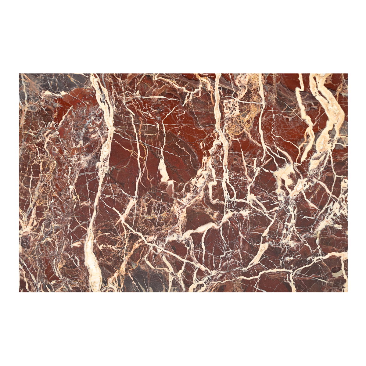 Rosa Coffee Table Rosso Levanto Marble, by Moe's Home, 40" width x 16" height x 30" depth View 7