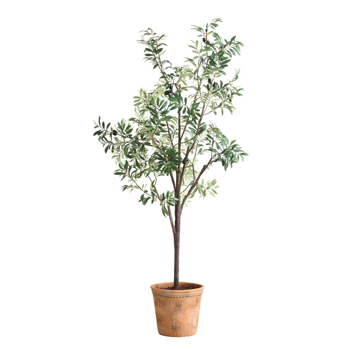 Olea Potted Olive Tree, Artificial Plants & Flower by Uttermost, 29.25" width x 67" height x 29.25" depth View 3