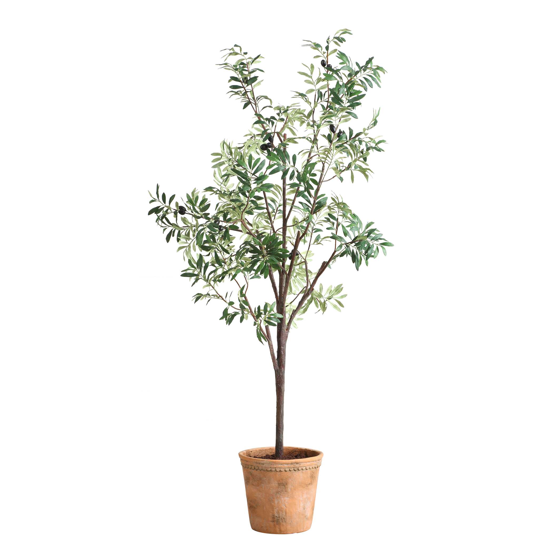 Olea Potted Olive Tree, Decorative by Uttermost, 29.25" width x 67" height x 29.25" depth View 3