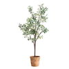 Olea Potted Olive Tree, Decorative by Uttermost, 29.25" width x 67" height x 29.25" depth thumbnail 3
