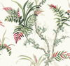Enchanted Fern Green & Red Wallpaper, by York Wall, 27' length x 2'3" width x 0.02" depth thumbnail 1