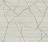 Raska Smokey Blue Wallpaper thumbnail 3